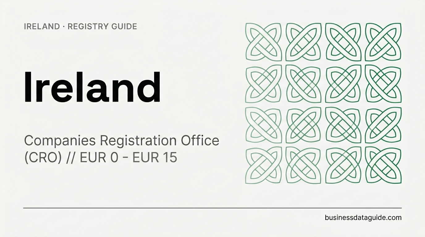 Ireland company registry guide cover