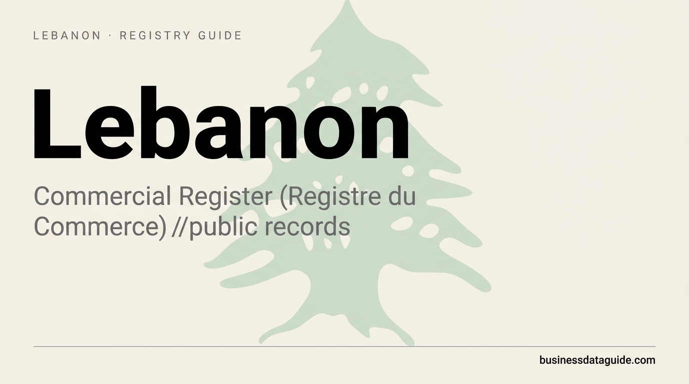 Lebanon company registry guide cover