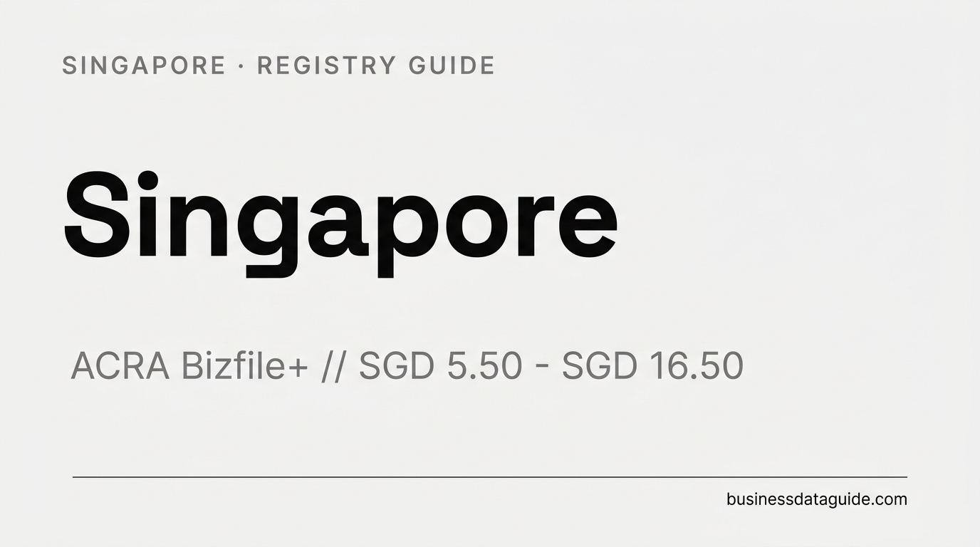 Singapore company registry guide cover