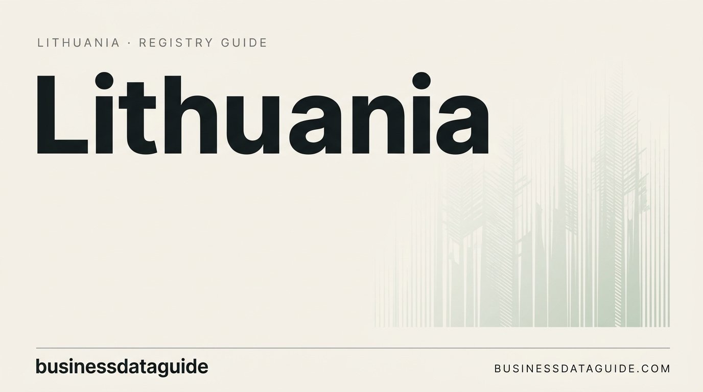 lithuania-company-search-guide-2026-how-to-verify-a-lithuanian